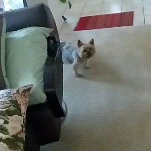 Meet your Posher, Tawriah